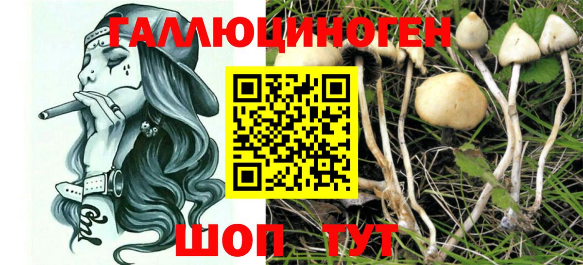 Псилоцибиновые грибы мухоморы Заводоуковск